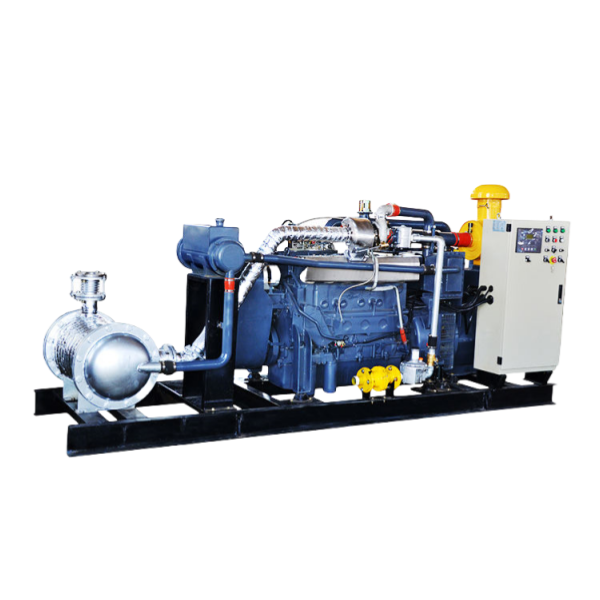 Biogas Generators