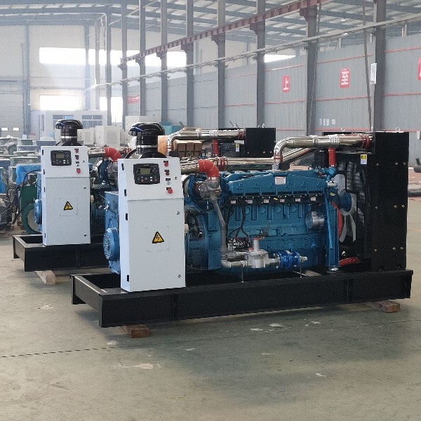 Natural Gas Generators
